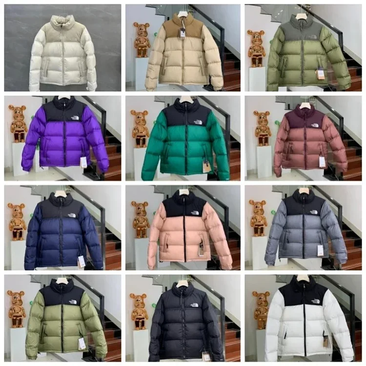 The North Face high quality down ceket Giyim