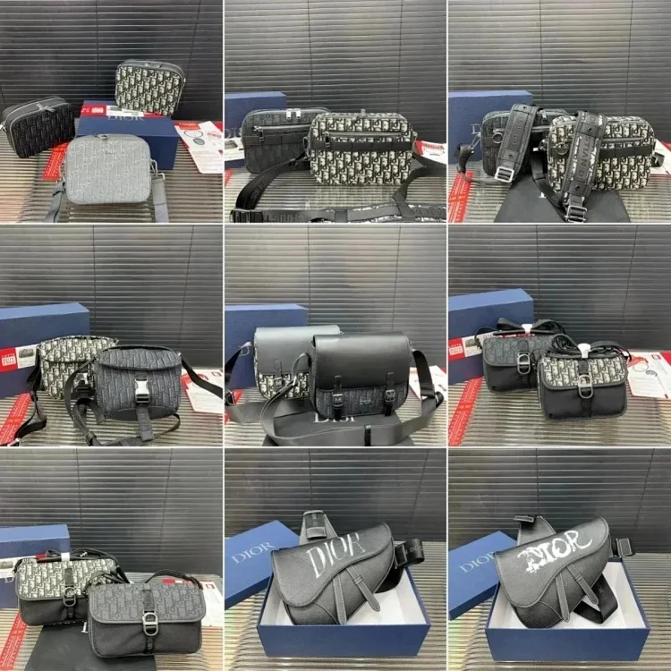 Dior camera bag