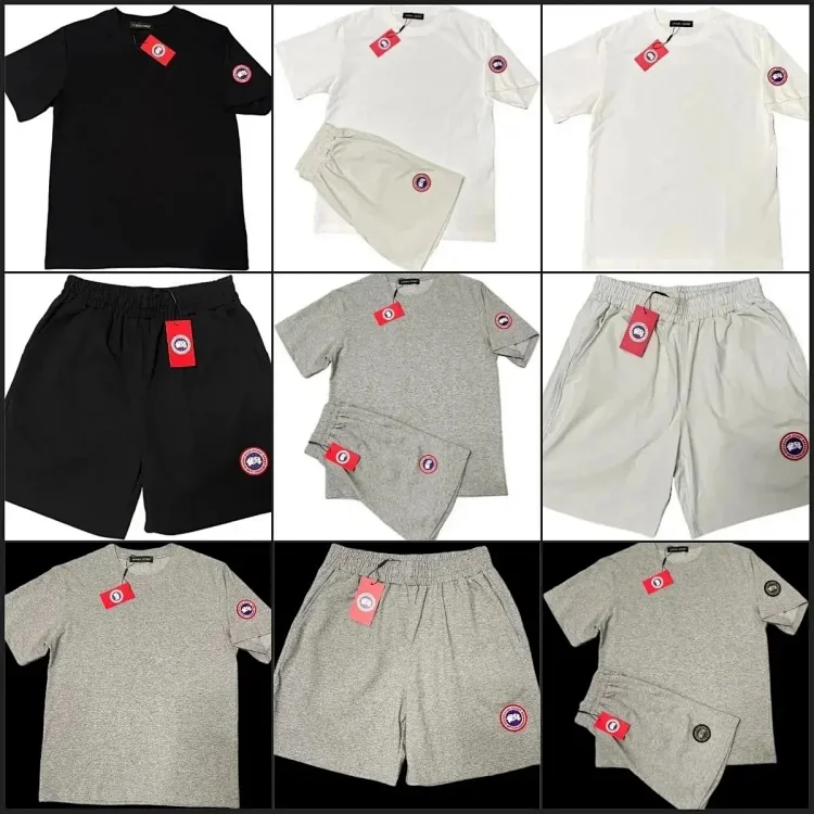 Canadagoose ESS ESSENTIALS Stone Island T-shirt
