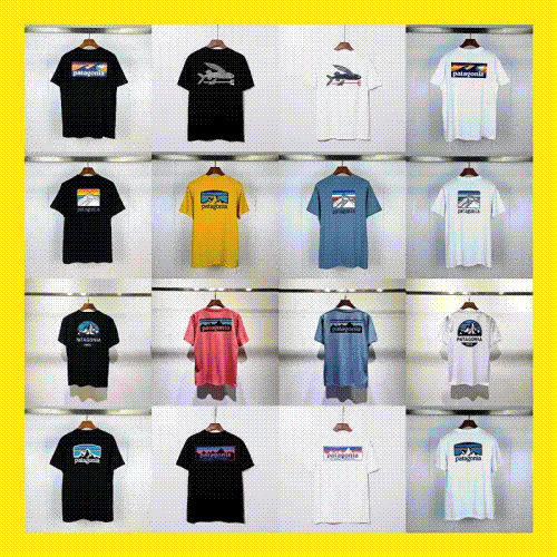 Patagonia T-shirt Styles